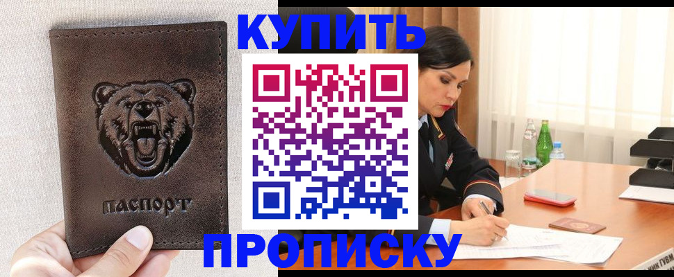 где прописаться в Пионерском